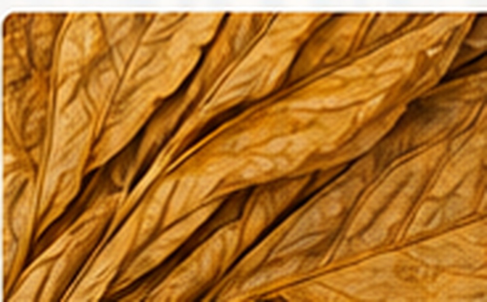 Virginia tobacco leaves